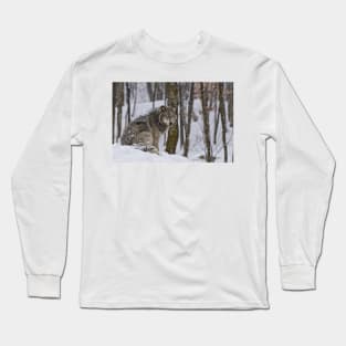 Timber Wolf In Snow Long Sleeve T-Shirt